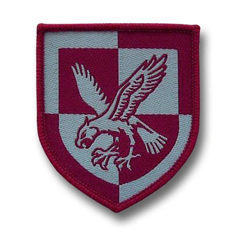 Insígnia DZ Asalto Aéreo: ¡Desafía la gravedad con orgullo y estilo! ¡Tu insignia de leyenda!